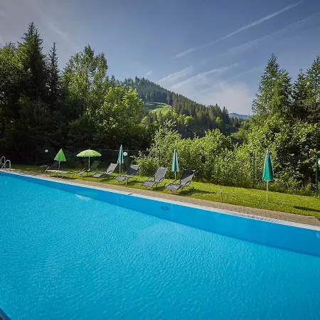 Superior Rehrenberg 2 By Interhome Viehhofen